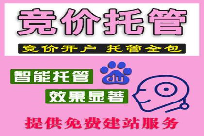 案例解析：SEM代运营公司如何为企业带来精准流量